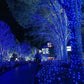 Decoratiune cu Incarcare Solara, 50 metri, 500 led - Albastru