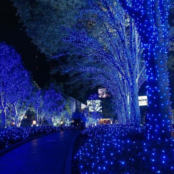Decoratiune cu Incarcare Solara, 50 metri, 500 led - Albastru