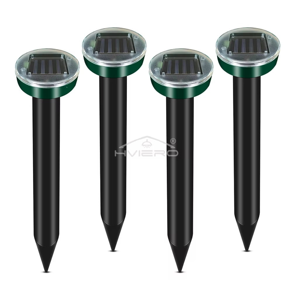 366bc10c-5152-40dc-afe8-2484e6a7021b_0