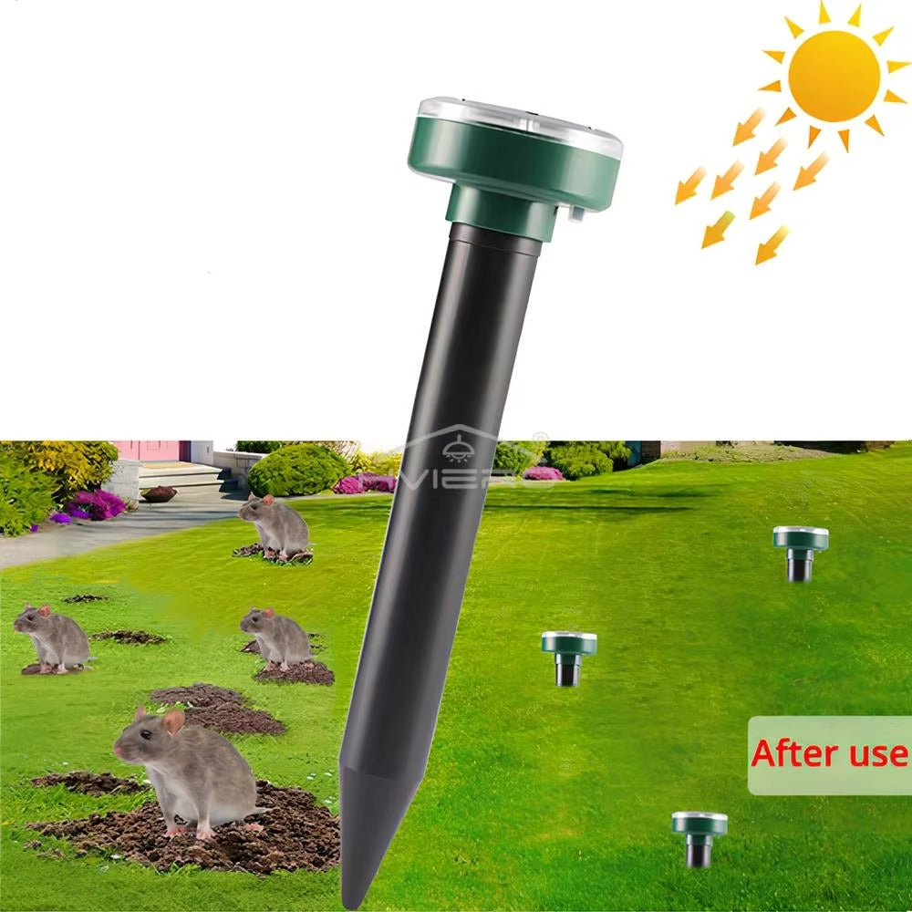 366bc10c-5152-40dc-afe8-2484e6a7021b_2