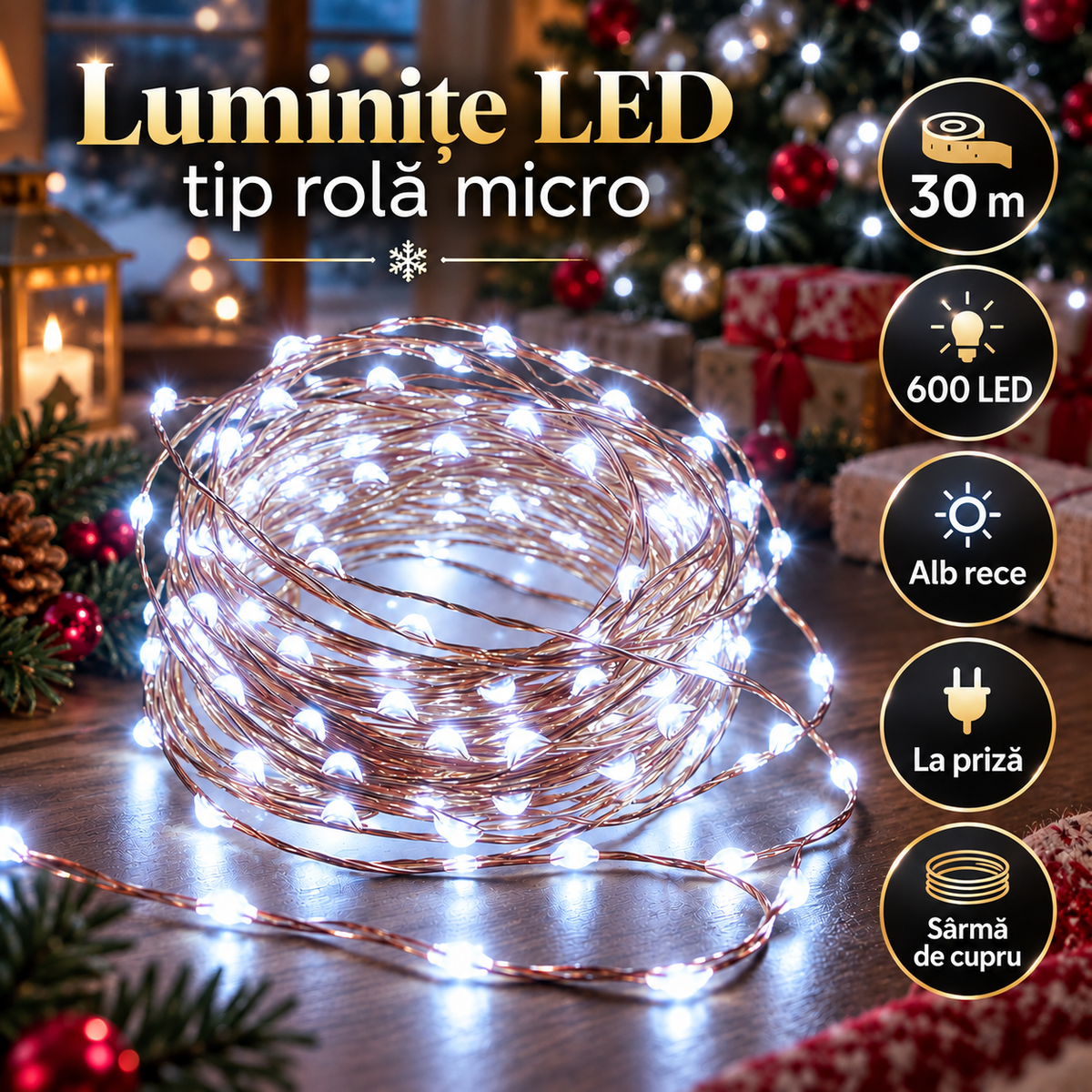 4120-22491.png